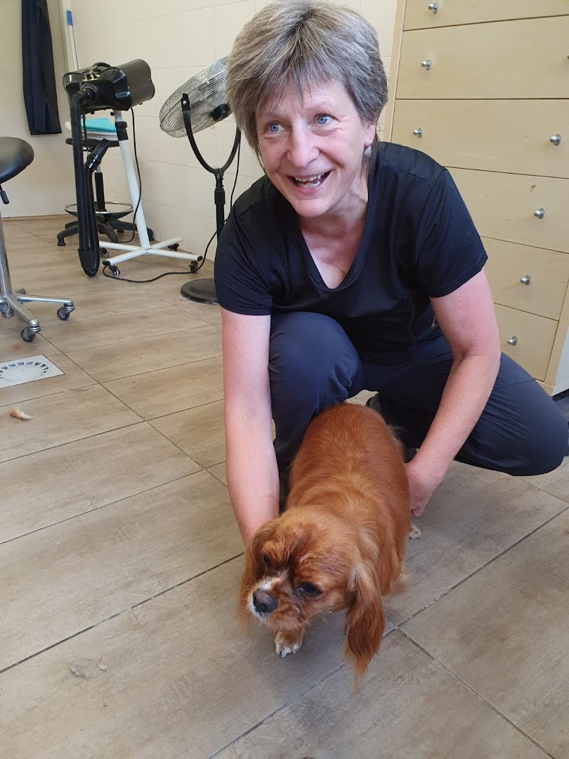 De trimster van Idéfix Trimsalon met een tevreden hondje in de salon